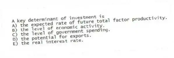 A key determinant of investment is
A) the expected rate of future total factor productivity.
B) the level of economic activity.
C) the level of government spending.
D) the potential for exports.
E) the real interest rate.