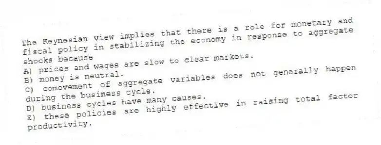 The Keynesian view implies that there is a role for monetary and fiscal policy in stabilizing the economy in response to aggregate shocks because
A) prices and wages are slow to clear markets.
B) money is neutral.
C) comovement of aggregate variables does not generally happen during the business cycle.
D) business cycles have many causes.
E) these policies are highly effective in raising total factor productivity.
