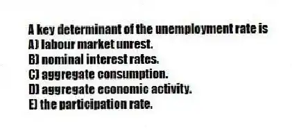 A key determinant of the unemployment rate is
A) labour market unrest.
B) nominal interest rates.
C) aggregate consumption.
D) aggregate economic activity.
E) the participation rate.