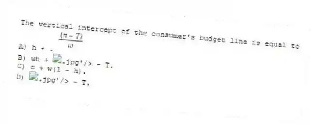 The vertical intercept of the consumer's budget line is equal to
A) h + .
B) wh + - T.
C) c + w(l - h).
D) - T.