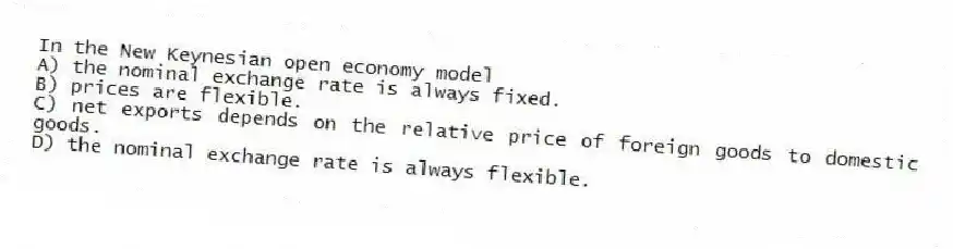 In the New Keynesian open economy model
A) the nominal exchange rate is always fixed.
B) prices are flexible.
C) net exports depends on the relative price of foreign goods to domestic goods.
D) the nominal exchange rate is always flexible.