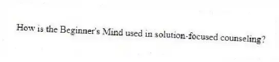 How is the Beginner's Mind used in solution-focused counseling?
