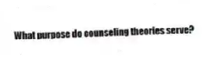 What purpose do counseling theories serve?