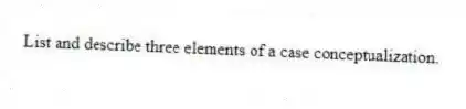 List and describe three elements of a case conceptualization.