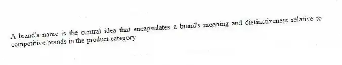 A brand's name is the central idea that encapsulates a brand's meaning and distinctiveness relative to competitive brands in the product category.