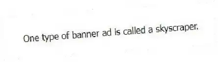 One type of banner ad is called a skyscraper.