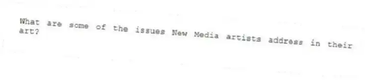 What are some of the issues New Media artists address in their art?