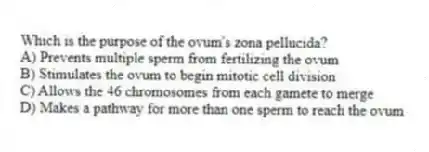 Which is the purpose of the ovum's zona pellucida?
A) Prevents multiple sperm from fertilizing the ovum
B) Stimulates the ovum to begin mitotic cell division
C) Allows the 46 chromosomes from each gamete to merge
D) Makes a pathway for more than one sperm to reach the ovum