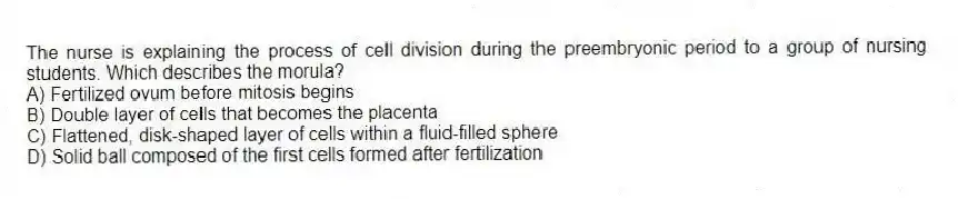 The nurse is explaining the process of cell division during the preembryonic period to a group of nursing students. Which describes the morula?
A) Fertilized ovum before mitosis begins
B) Double layer of cells that becomes the placenta
C) Flattened, disk-shaped layer of cells within a fluid-filled sphere
D) Solid ball composed of the first cells formed after fertilization