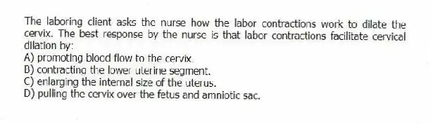 The laboring client asks the nurse how the labor contractions work to dilate the cervix. The best response by the nurse is that labor contractions facilitate cervical dilation by:
A) promoting blood flow to the cervix.
B) contracting the lower uterine segment.
C) enlarging the internal size of the uterus.
D) pulling the cervix over the fetus and amniotic sac.
