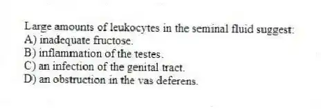 Large amounts of leukocytes in the seminal fluid suggest:
A) inadequate fructose.
B) inflammation of the testes.
C) an infection of the genital tract.
D) an obstruction in the vas deferens.