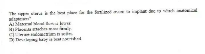 The upper uterus is the best place for the fertilized ovum to implant due to which anatomical adaptation?
A) Maternal blood flow is lower.
B) Placenta attaches most firmly.
C) Uterine endometrium is softer.
D) Developing baby is best nourished.
