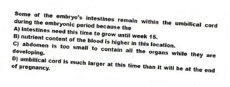Some of the embryo's intestines remain within the umbilical cord during the embryonic period because the
A) intestines need this time to grow until week 15.
B) nutrient content of the blood is higher in this location.
C) abdomen is too small to contain all the organs while they are developing.
D) umbilical cord is much larger at this time than it will be at the end of pregnancy.