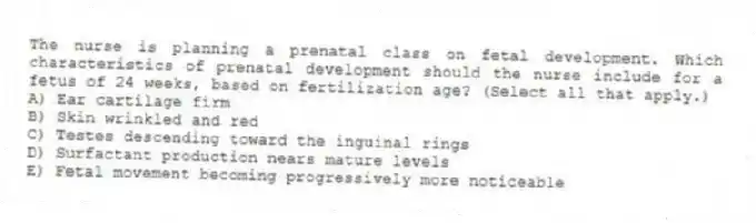 The nurse is planning a prenatal class on fetal development. Which characteristics of prenatal development should the nurse include for a fetus of 24 weeks, based on fertilization age? (Select all that apply.)
A) Ear cartilage firm
B) Skin wrinkled and red
C) Testes descending toward the inguinal rings
D) Surfactant production nears mature levels
E) Fetal movement becoming progressively more noticeable