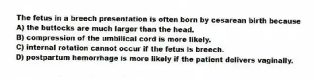 The fetus in a breech presentation is often born by cesarean birth because
A) the buttocks are much larger than the head.
B) compression of the umbilical cord is more likely.
C) internal rotation cannot occur if the fetus is breech.
D) postpartum hemorrhage is more likely if the patient delivers vaginally.