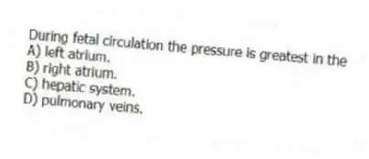 During fetal circulation the pressure is greatest in the
A) left atrium.
B) right atrium.
C) hepatic system.
D) pulmonary veins.