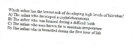 Which infant has the lowest risk of developing high levels of bilirubin?
A) The infant who developed a cephalohematoma
B) The infant who was bruised during a difficult birth
C) The infant who uses brown fat to maintain temperature
D) The infant who is breastfed during the first hour of life