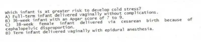 Which infant is at greater risk to develop cold stress?
A) Full-term infant delivered vaginally without complications.
B) 36-week infant with an Apgar score of 7 to 9.
C) 38-week female infant delivered via cesarean birth because of cephalopelvic disproportion.
D) Term infant delivered vaginally with epidural anesthesia.