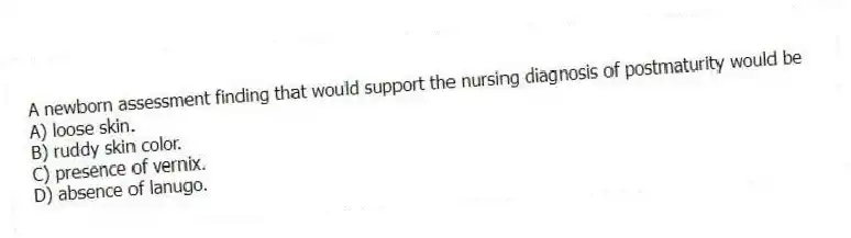 A newborn assessment finding that would support the nursing diagnosis of postmaturity would be
A) loose skin.
B) ruddy skin color.
C) presence of vernix.
D) absence of lanugo.