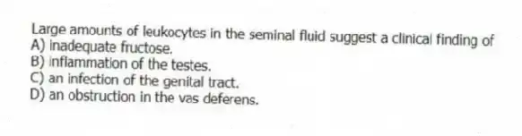 Large amounts of leukocytes in the seminal fluid suggest a clinical finding of
A) inadequate fructose.
B) inflammation of the testes.
C) an infection of the genital tract.
D) an obstruction in the vas deferens.