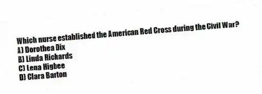Which nurse established the American Red Cross during the Civil War?
A) Dorothea Dix
B) Linda Richards
C) Lena Higbee
D) Clara Barton