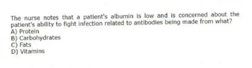 The nurse notes that a patient's albumin is low and is concerned about the patient's ability to fight infection related to antibodies being made from what?
A) Protein
B) Carbohydrates
C) Fats
D) Vitamins