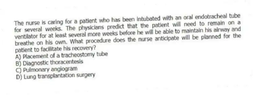 The nurse is caring for a patient who has been intubated with an oral endotracheal tube for several weeks. The physicians predict that the patient will need to remain on a ventilator for at least several more weeks before he will be able to maintain his airway and breathe on his own. What procedure does the nurse anticipate will be planned for the patient to facilitate his recovery?
A) Placement of a tracheostomy tube
B) Diagnostic thoracentesis
C) Pulmonary angiogram
D) Lung transplantation surgery