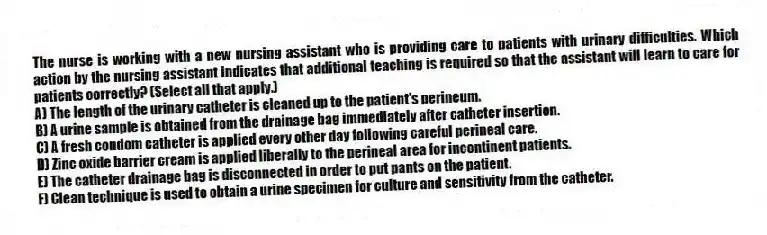 The nurse is working with a new nursing assistant who is providing care to patients with urinary difficulties. Which action by the nursing assistant indicates that additional teaching is required so that the assistant will learn to care for patients correctly? (Select all that apply.)
A) The length of the urinary catheter is cleaned up to the patient's perineum.
B) A urine sample is obtained from the drainage bag immediately after catheter insertion.
C) A fresh condom catheter is applied every other day following careful perineal care.
D) Zinc oxide barrier cream is applied liberally to the perineal area for incontinent patients.
E) The catheter drainage bag is disconnected in order to put pants on the patient.
F) Clean technique is used to obtain a urine specimen for culture and sensitivity from the catheter.